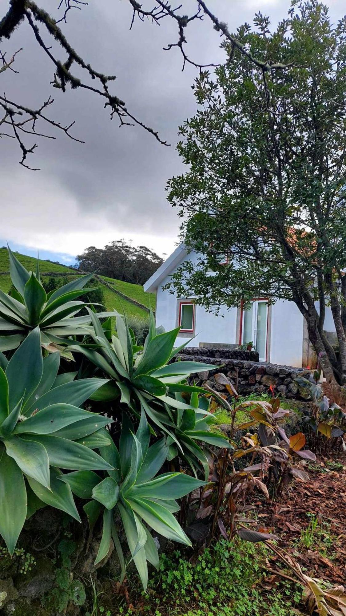 Casa De Campo Franco Da Serra Angra do Heroismo Bagian luar foto
