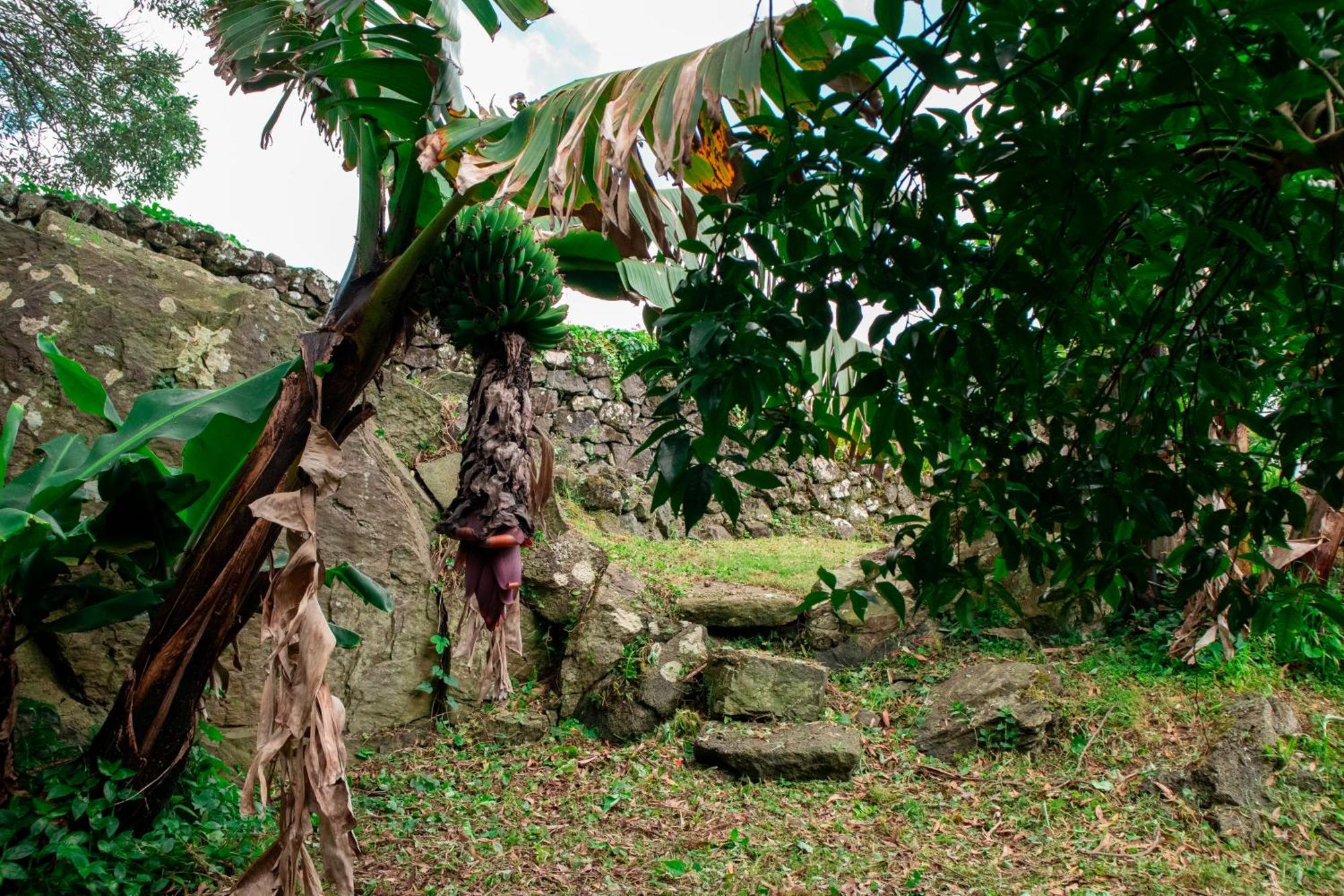 Casa De Campo Franco Da Serra Angra do Heroismo Bagian luar foto