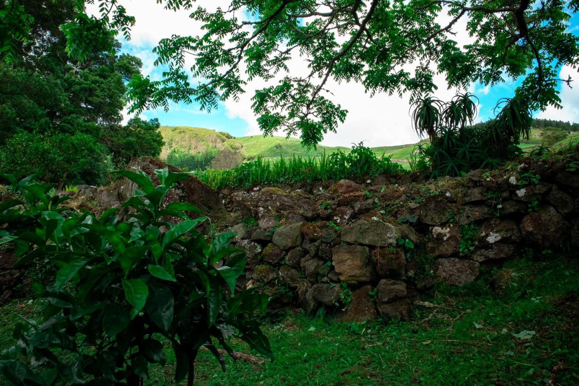 Casa De Campo Franco Da Serra Angra do Heroismo Bagian luar foto